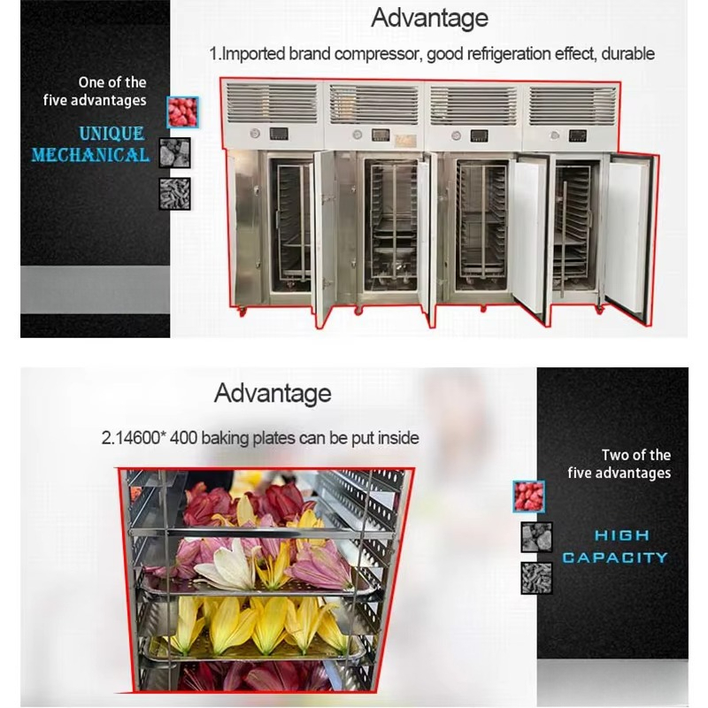 Máquina de Congelamento Rápido - Quick Food Snacks avaliação e preço